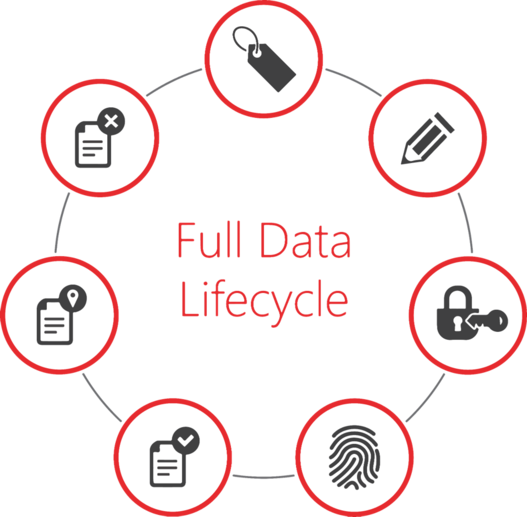 Kreisförmige Darstellung des vollständigen Datenlebenszyklus im Rahmen des Schutzes vertraulicher Daten.