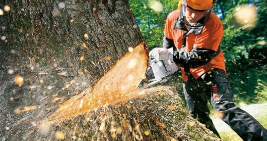 Holzfäller mit Stihl Motorsäge im Einsatz