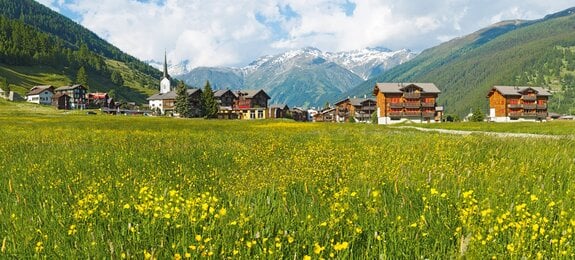 Naturaufnahme eines Tals in der Schweiz mit einem Dorf im Hintergrund.