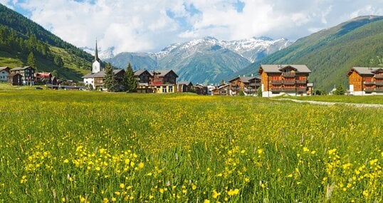 Naturaufnahme eines Tals in der Schweiz mit einem Dorf im Hintergrund.