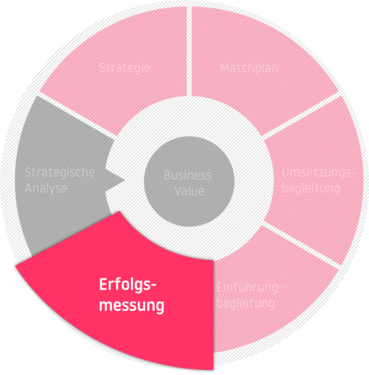 Die Phase der Erfolgsmessung in der Beratung mit dem Business Value im Zentrum: Strategische Analyse - Strategie - Matchplan - Umsetzungsbegleitung - Einführungsbegleitung - Erfolgsmessung