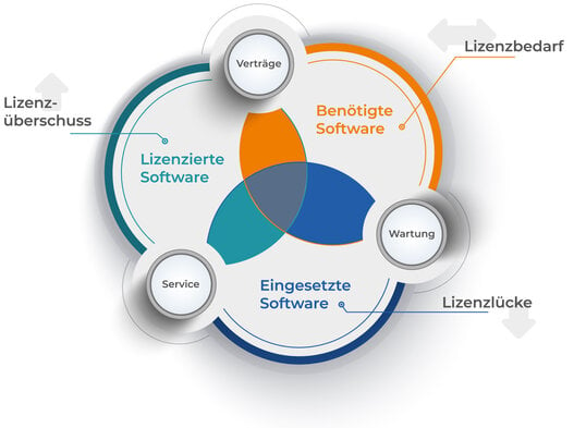 Schnittmengen von benötigter Software, lizenzierter Software und eingesetzter Software